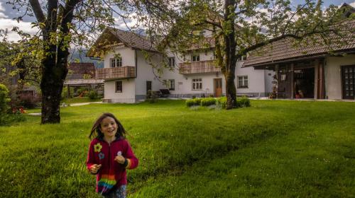 Taman, Apartma in sobe PR'OBJAN in Bled