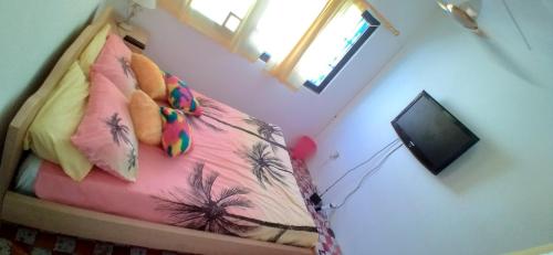 Tropical Quest B&B