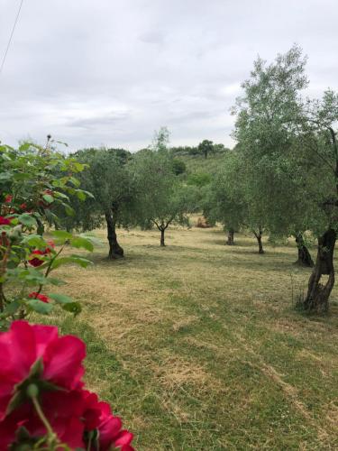 Alrededores, Appartamento "In viaggio come a casa" vicino alla Stazione, LTScalo! in Latina