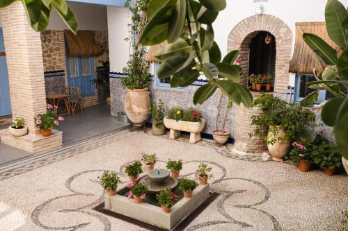 CASA SIRFANTAS 5