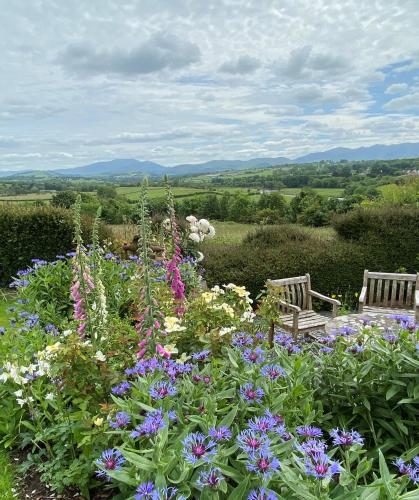 Westwood - The B&B with a view - image 6