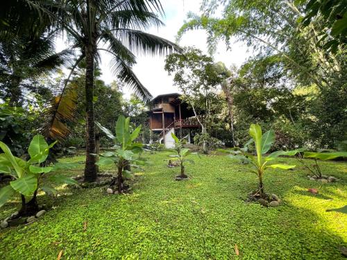 Caoni Riverside Suites - Birders Paradise by the river, Ecuadorian Chocó