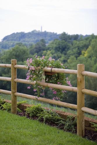 Agriturismo Althea