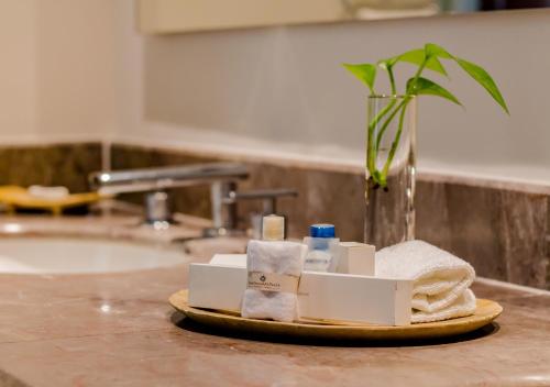 Hotel Guadalajara Plaza Ejecutivo