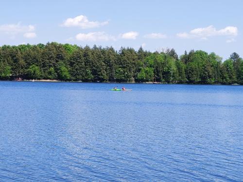 Lakeshore Motel - image 11