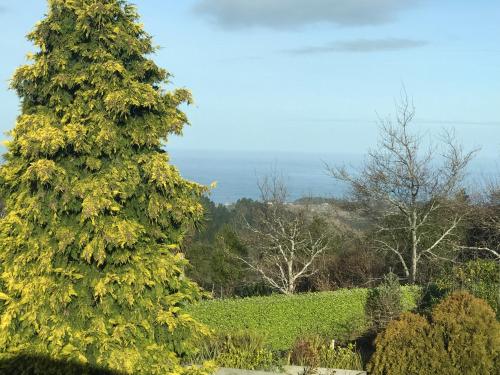 View, Pet Friendly Country Cottage in Scroggs Hill