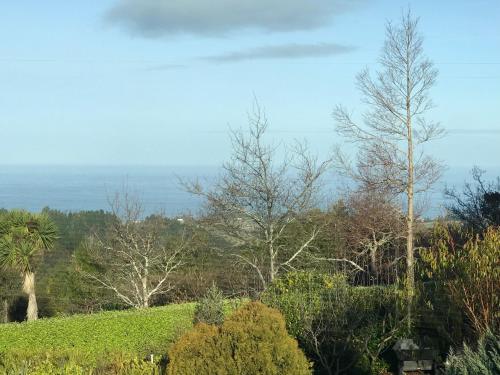 View, Pet Friendly Country Cottage in Scroggs Hill