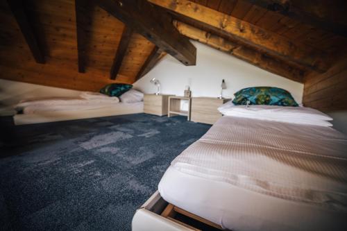 CHRIStania, Fiesch (fotografie 7)