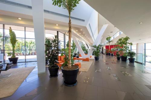 La Finca Resort - main image