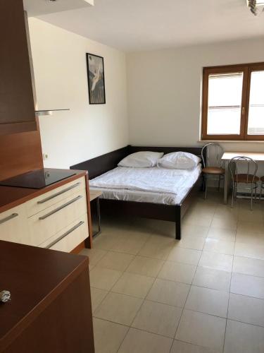 Apartment with Shower