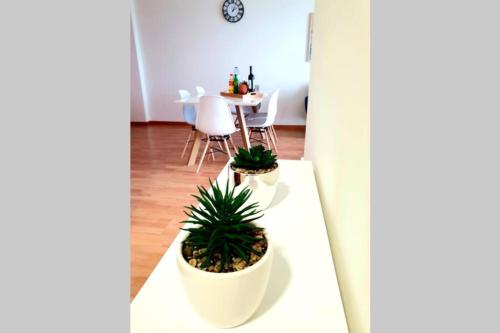 Hill & Sea House, Ribeira Grande (photo 8)
