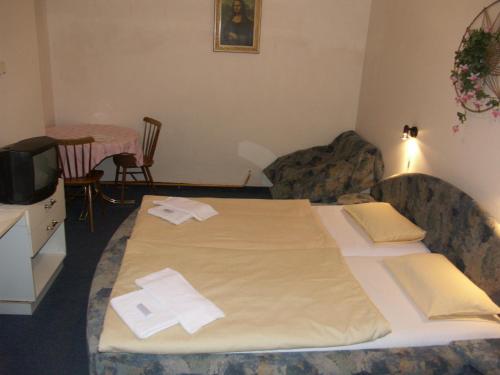 Brezina Pension, Praga (foto 3)