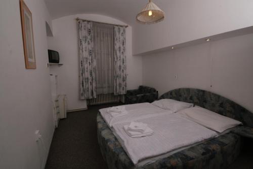 Brezina Pension, Praga (foto 5)