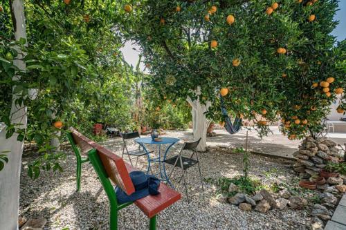 Olga's Organic garden Home for a couple! with Wifi & AC in Mousoures