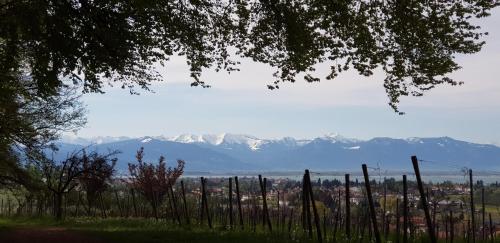 Alpenblick 3 243m von Bodolz entfernt