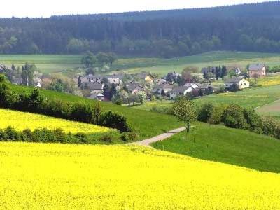 Penthouse Mosel Huntress in Gornhausen, Deutschland