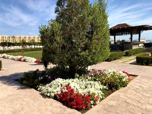 Apartments for Rent Samra Bay Hotel - Аренда квартир в отеле Samra Bay