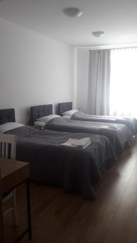 Apartamenty Irena Stare Miasto Sw. Ducha
