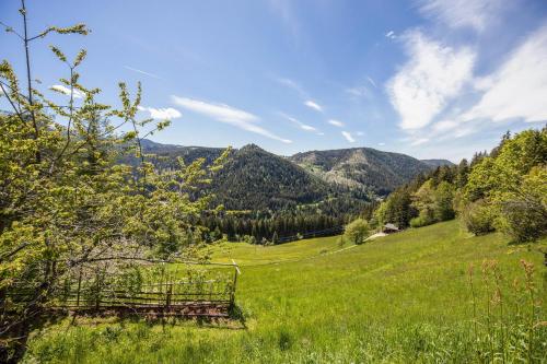 Ferienwohnung Lavendel Thalerhof