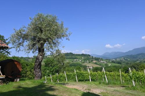 Agriturismo Le Spezie