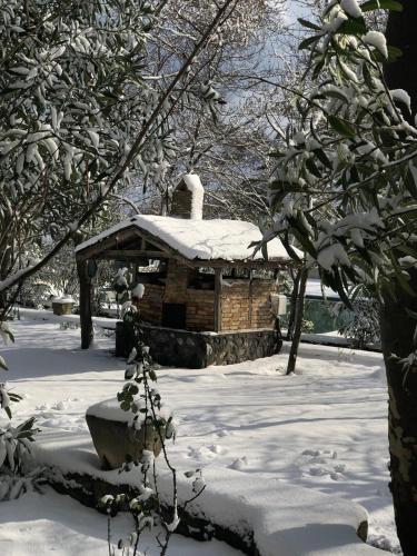 Fener Motel - image 8