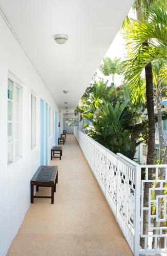 Balcony/terrace, Aqua Hotel & Suites in Miami Beach (FL)