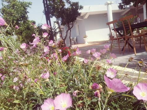 Amantia Apartments - image 12