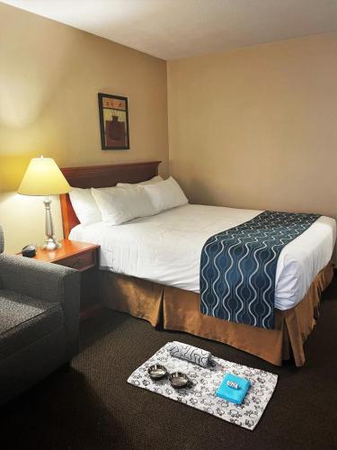 Welcominns Hotel Ottawa - image 3