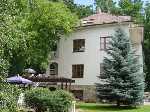 Hotel Villa Conti - image 9