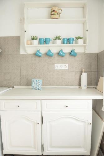 keittiö, Vánkos Vendégház (Vankos Vendeghaz) in Mindszent