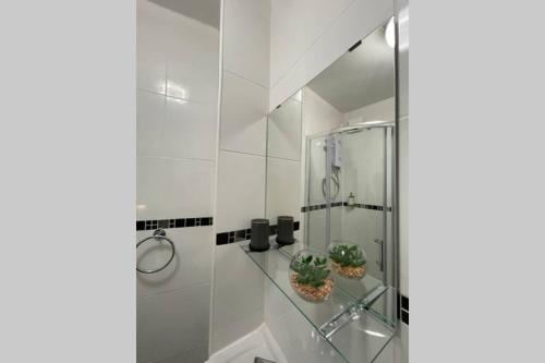 Spacious, Bright Twin Studio Apartment (can sleep up to 4), Londýn (fotografie 8)