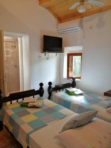 Rustical Apartment, Korčula (photo 3)