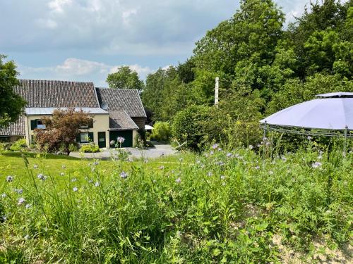 Bellerose Maison de Greunebennet in Plombiresa