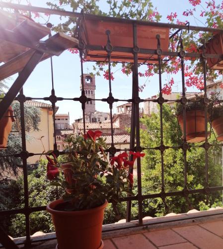 balcon/terasă, Bed and Breakfast Evelina in Lucca