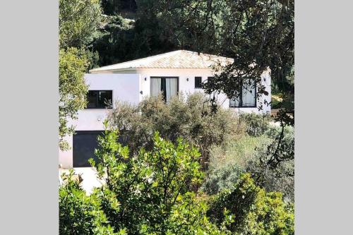 Villa Bianca, à 10 minutes à pieds de la plage. gîte à louer Cirendinu