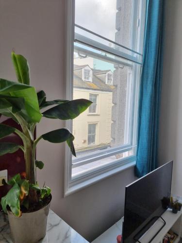 Picture of The Bank Flats Warleggan -Lively Central Falmouth Apartment