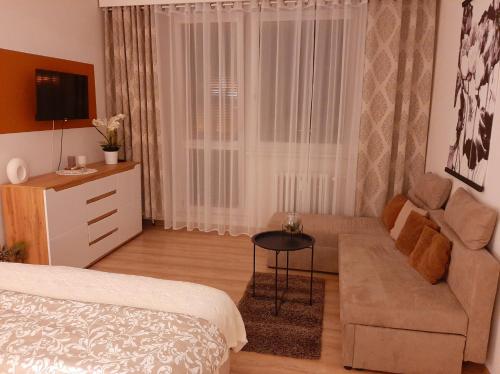 Apartmán Hanka - Apartment - Znojmo