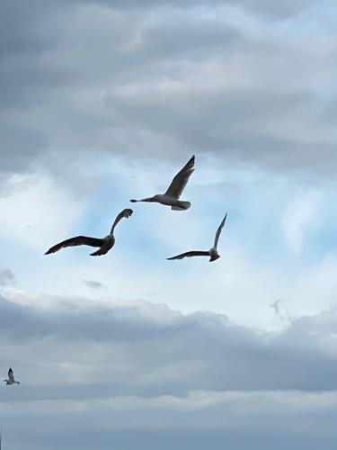 Redcar Seaview Apartments Redcar Seaview Apartments