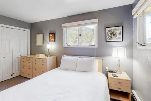 Ski Ridge Hideaway - image 8