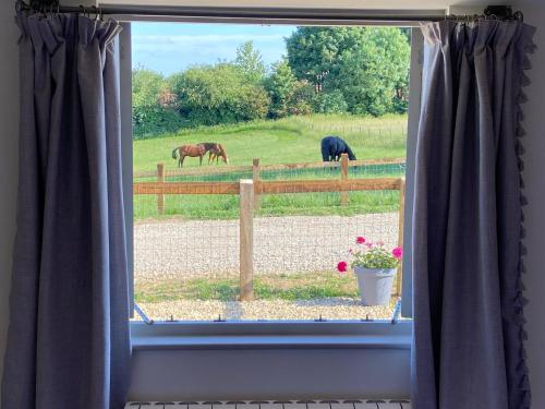 Kilátás, Glebe Barn, Little Glebe Farm in Pilley