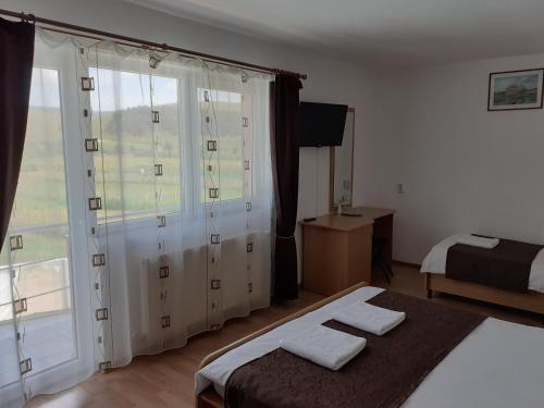 Pensiunea Cionca - image 11