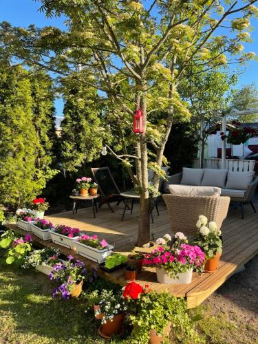 A szálláshely kívülről, Hotelli Kaivo in Naantali