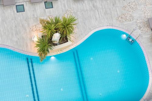 Hotel Feldberg 4 stelle Riccione