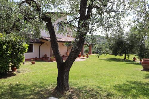 Agriturismo Il Bagolaro