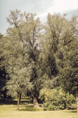 Arnbjerg Pavillonen - image 2