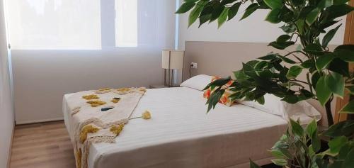  Apartamentos Antares 3 in Viduido