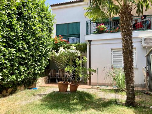 Studio apartman Palma - image 5