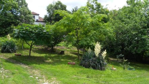 Guest House PETROVA - image 2