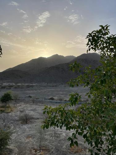 写真：Booking.com