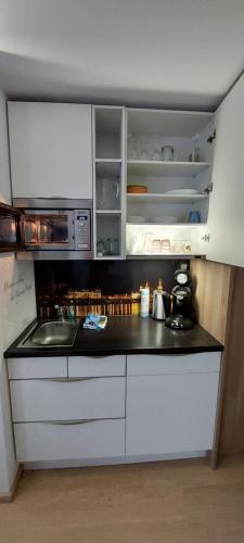 Appartements am Schillergarten, Drážďany (fotografie 6)